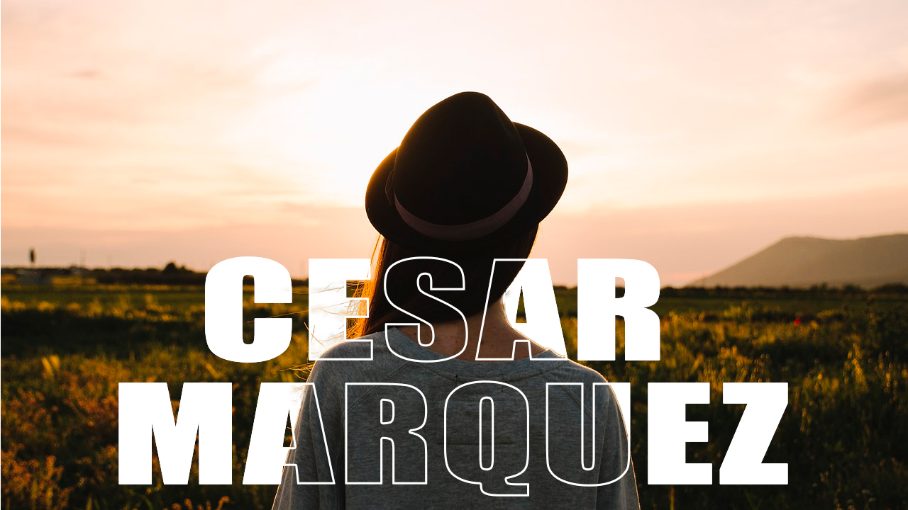 MODELO TEXTO