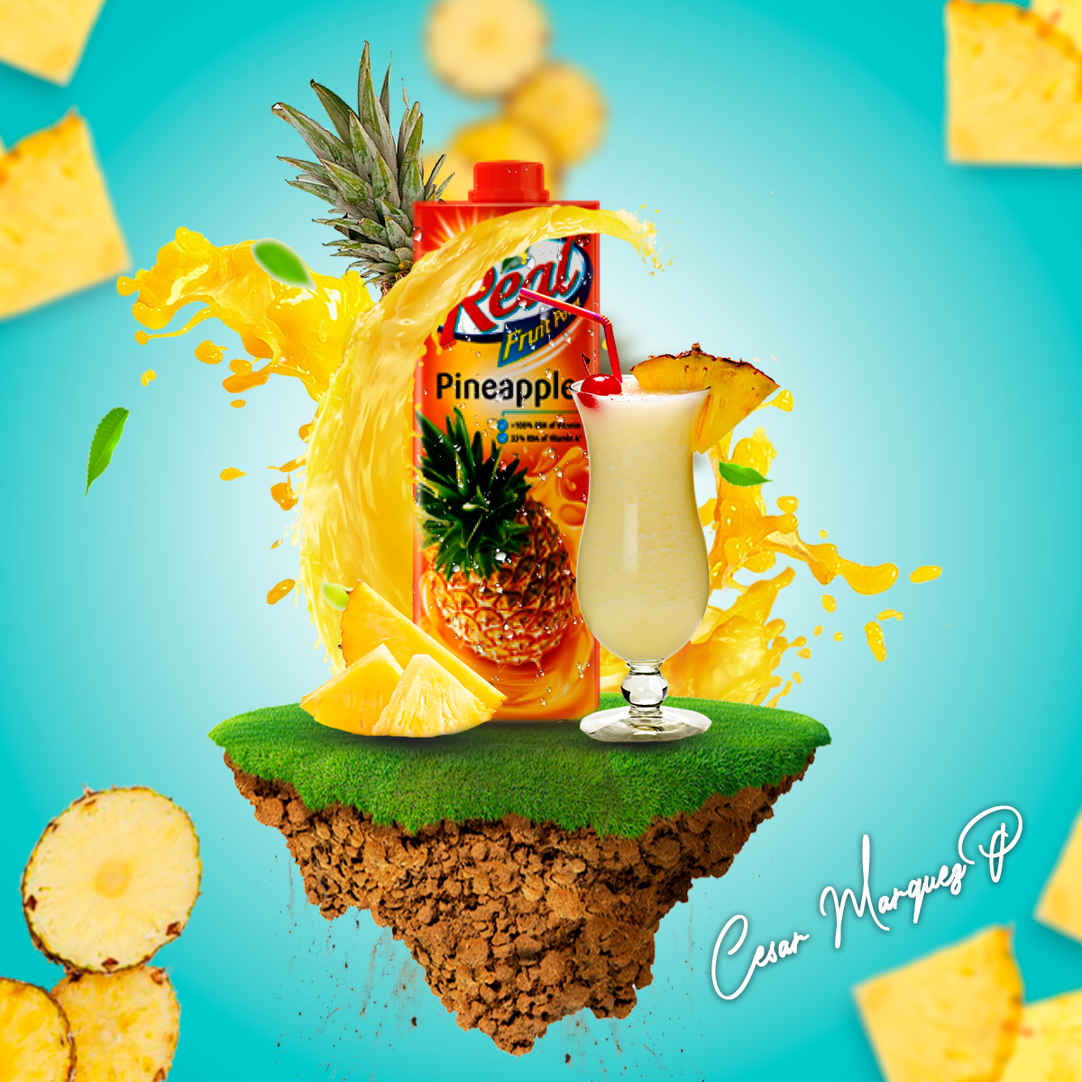 PIÑA4