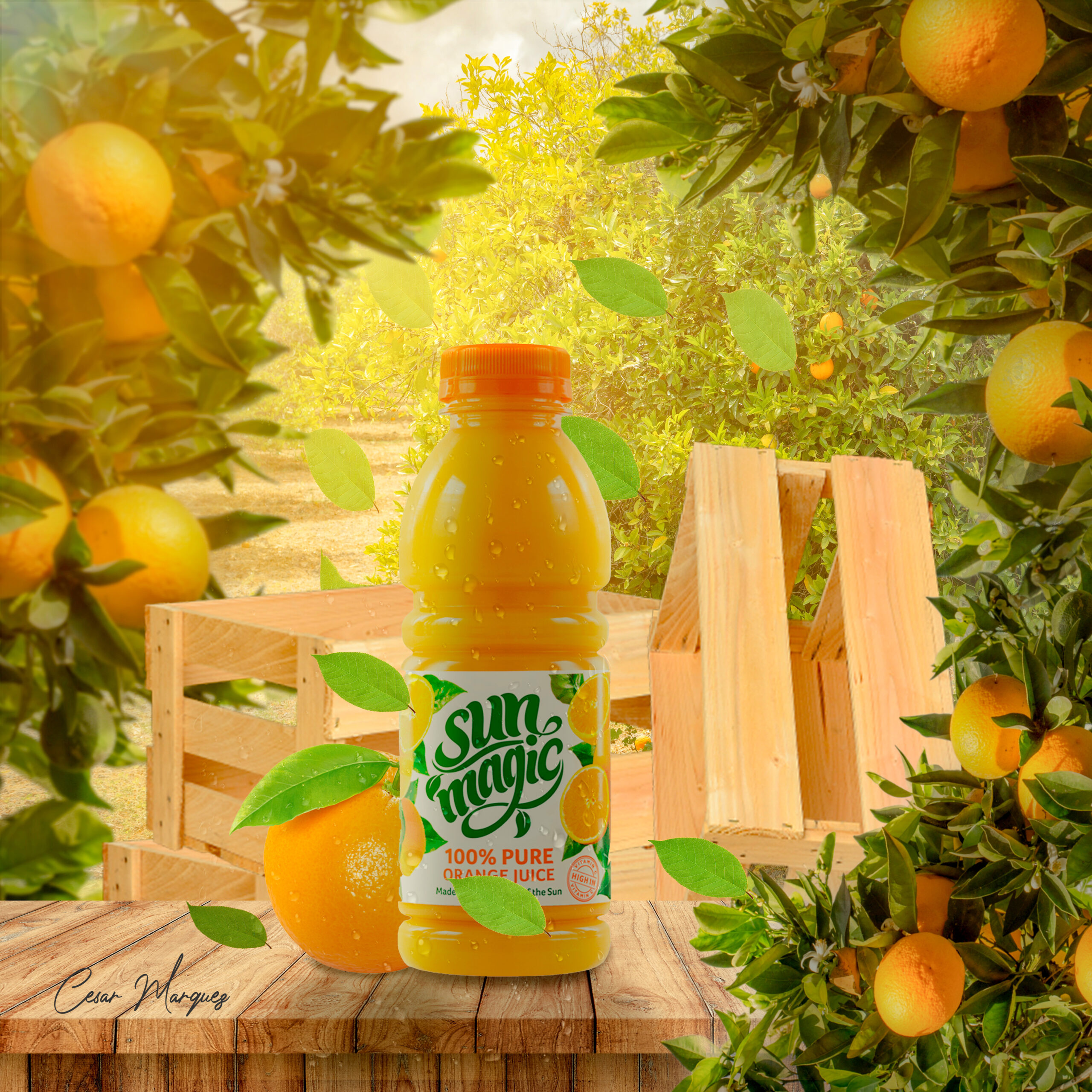 SUN JUICE
